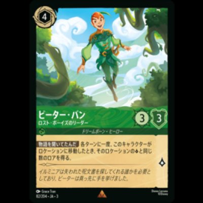 画像1: ピーター・パン ロスト・ボーイズのリーダー [03]