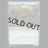 クウィリーオンの獣呼び/Quirion Beastcaller [DMU]