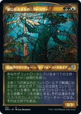 [ショーケース] 潮に仕えるもの、タトヨヴァ/Tatyova, Steward of Tides [DMU]