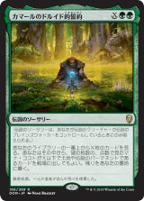 カマールのドルイド的誓約/Kamahl's Druidic Vow [DOM]