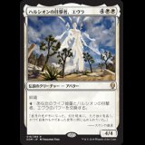 [FOIL] ハルシオンの目撃者、エヴラ/Evra, Halcyon Witness [DOM]