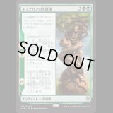 [FOIL] ドミナリアの大修復/The Mending of Dominaria [DOM]