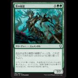 茨の精霊/Thorn Elemental [DOM]