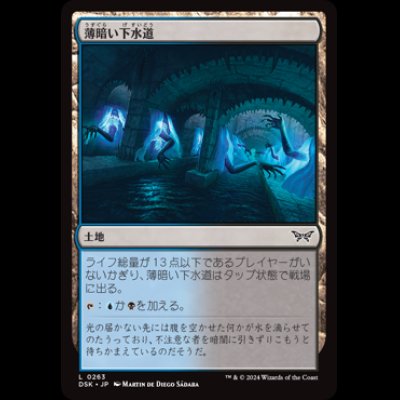 画像1: 薄暗い下水道/Murky Sewer [DSK]