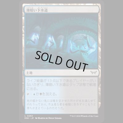 画像1: 薄暗い下水道/Murky Sewer [DSK]