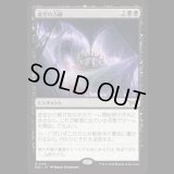 虚空の力線/Leyline of the Void [DSK]