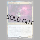 闇の中の研究者、ナシ/Nashi, Searcher in the Dark [DSK]