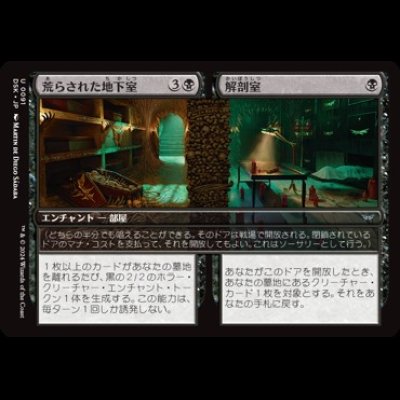 画像1: 荒らされた地下室 + 解剖室/Defiled Crypt + Cadaver Lab [DSK]