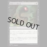 萎縮させる責め苦/Withering Torment [DSK]