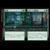 温室 + がたつく展望台/Greenhouse + Rickety Gazebo [DSK]