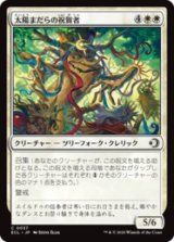 太陽まだらの祝賀者/Sun-Dappled Celebrant [ECL]