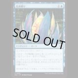 花弁縛り/Blossombind [ECL]