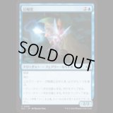 幻触児/Glamermite [ECL]