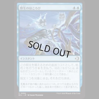 画像1: 野生のほころび/Wild Unraveling [ECL]