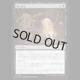 婆の宣告/Auntie's Sentence [ECL]