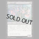 立ち枯れた黒茨/Blighted Blackthorn [ECL]