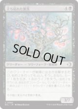 立ち枯れた黒茨/Blighted Blackthorn [ECL]