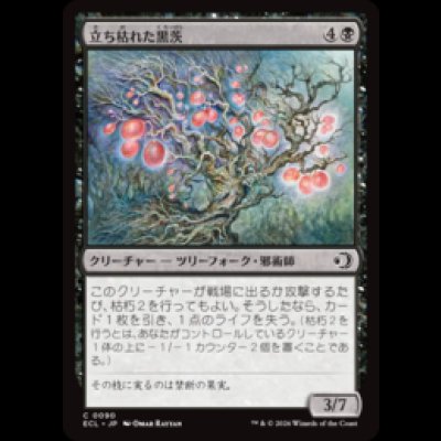 画像1: 立ち枯れた黒茨/Blighted Blackthorn [ECL]