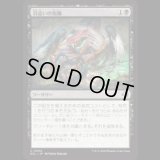 沼這いの抱擁/Bogslither's Embrace [ECL]