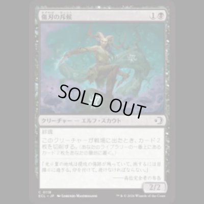 画像1: 傷刃の斥候/Scarblade Scout [ECL]