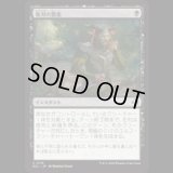 傷刃の悪意/Scarblade's Malice [ECL]