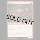 上座婆/Elder Auntie [ECL]