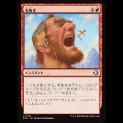 画像1: 毛抜き/Tweeze [ECL]