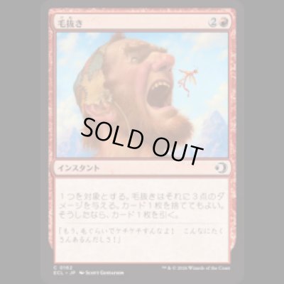 画像1: 毛抜き/Tweeze [ECL]