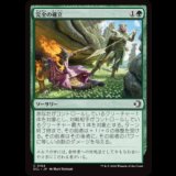 完全の確立/Assert Perfection [ECL]