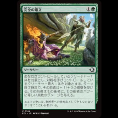 画像1: 完全の確立/Assert Perfection [ECL]