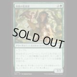 岐路の監視者/Crossroads Watcher [ECL]