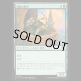 曙光の射手/Dawn's Light Archer [ECL]