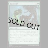 真夜中の耕作/Midnight Tilling [ECL]