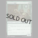 ミストメドウ議員/Mistmeadow Council [ECL]