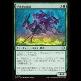 守美者の騎兵/Safewright Cavalry [ECL]