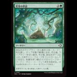 若芽の世話/Tend the Sprigs [ECL]
