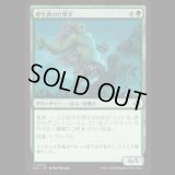 野生蔦の打撃手/Wildvine Pummeler [ECL]