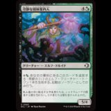冷静な樹林案内人/Stoic Grove-Guide [ECL]