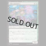 冷静な樹林案内人/Stoic Grove-Guide [ECL]