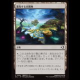 進化する未開地/Evolving Wilds [ECL]