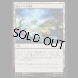 進化する未開地/Evolving Wilds [ECL]