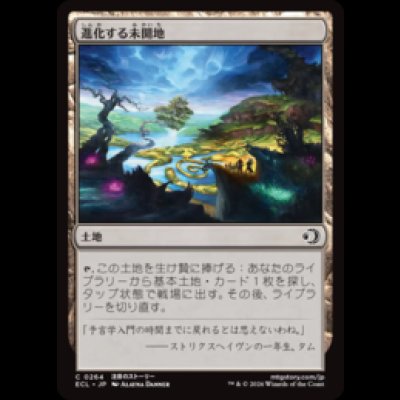 画像1: 進化する未開地/Evolving Wilds [ECL]