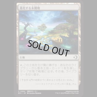 画像1: 進化する未開地/Evolving Wilds [ECL]