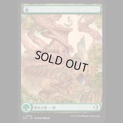 画像1: [ローウィン] 森/Forest (278)  [ECL]