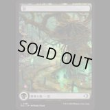 [シャドウムーア]  沼/Swamp (281)  [ECL]