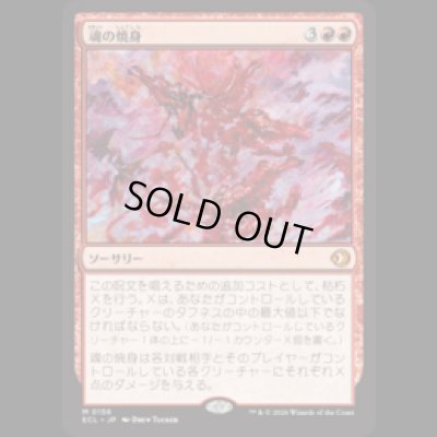 画像1: 魂の焼身/Soul Immolation [ECL]