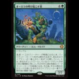 オーロラの呼び起こす者/Aurora Awakener [ECL]