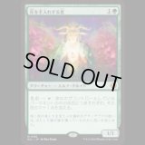 花を手入れする者/Bloom Tender [ECL]