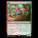 鮮麗/Vibrance [ECL]