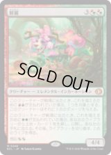 鮮麗/Vibrance [ECL]